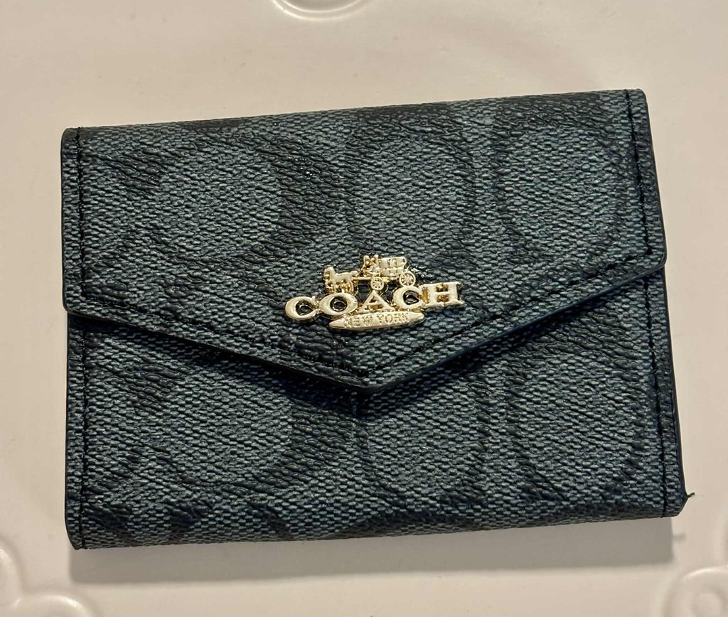 Card holder C accordion