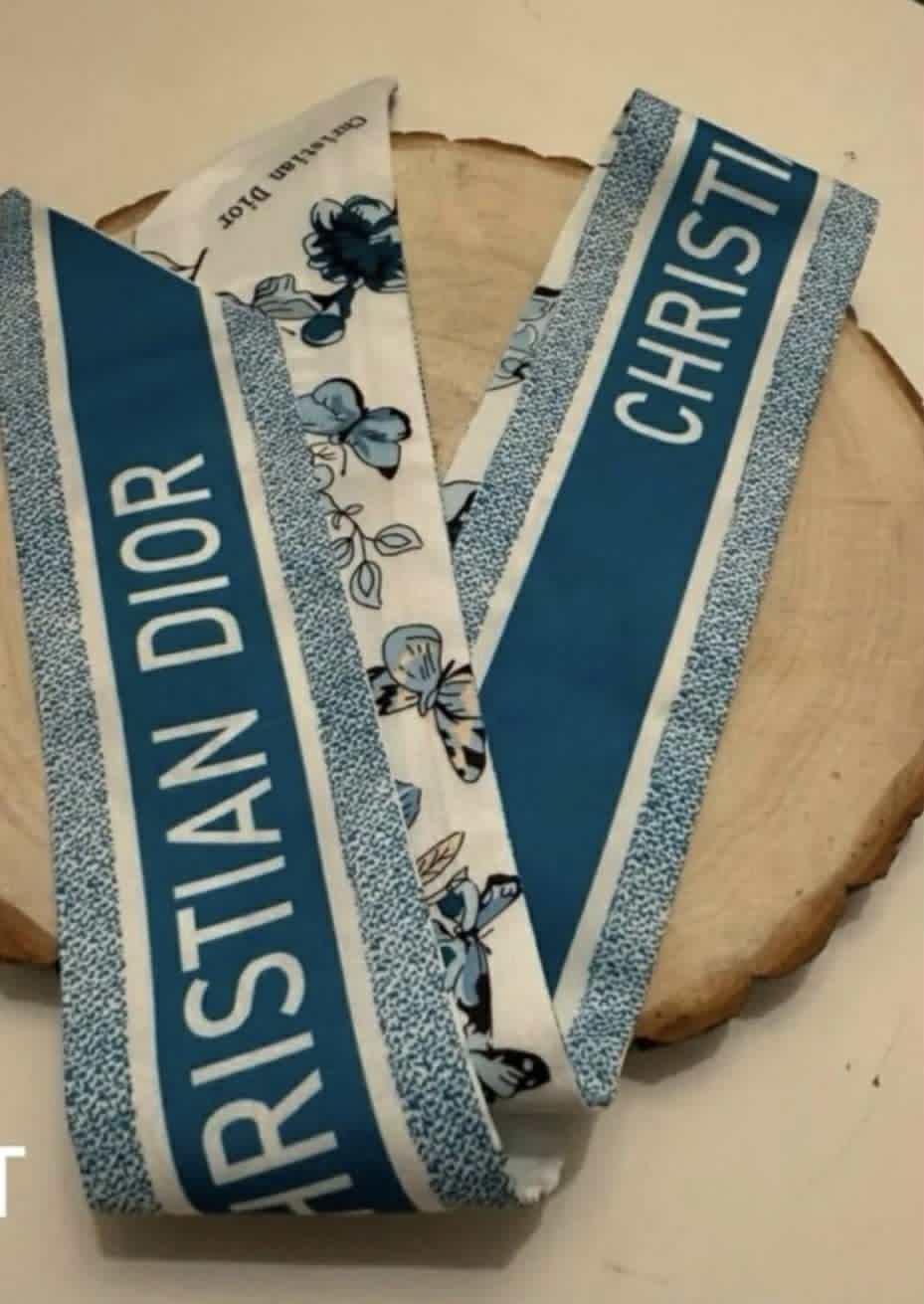 Purse scarf CD blue butterfly